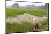 Fishing in the Rice Fields, Tam Coc, Ninh Binh Area, Vietnam, Indochina, Southeast Asia, Asia-Bruno Morandi-Mounted Photographic Print