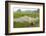 Fishing in the Rice Fields, Tam Coc, Ninh Binh Area, Vietnam, Indochina, Southeast Asia, Asia-Bruno Morandi-Framed Photographic Print