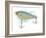 Fishing Lure-Matthew Piotrowicz-Framed Art Print