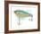 Fishing Lure-Matthew Piotrowicz-Framed Art Print