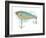 Fishing Lure-Matthew Piotrowicz-Framed Art Print