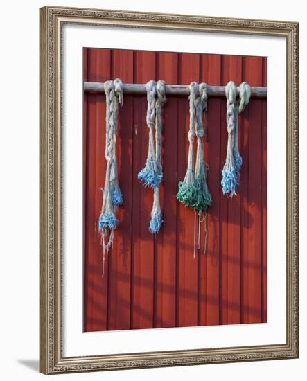 Fishing Nets Hanging from Rorbuer Exterior, Storvagen, Austvagsoya, Lofoten, Nordland, Norway-Doug Pearson-Framed Photographic Print