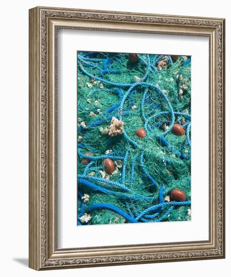 Fishing Nets in Grand Bourg Harbor, Marie-Galante Island, Guadaloupe, Caribbean-Walter Bibikow-Framed Photographic Print