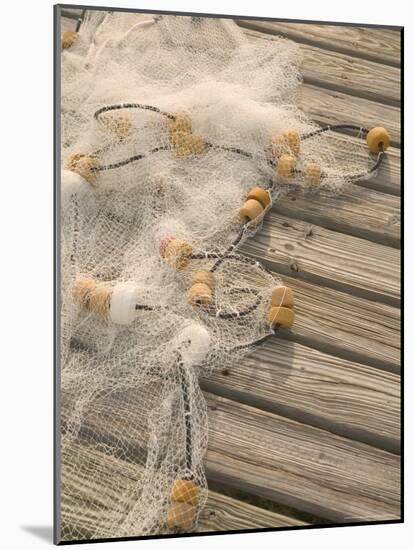 Fishing Nets on Town Pier, Loyalist Cays, Abacos, Bahamas-Walter Bibikow-Mounted Photographic Print