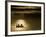 Fishing on Mcwenneger Slough, Kalispell, Montana, USA-Chuck Haney-Framed Photographic Print