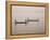 Fishing on the River Niger, Niger Inland Delta, Segou Region, Mali, West Africa, Africa-Gavin Hellier-Framed Premier Image Canvas