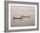 Fishing on the River Niger, Niger Inland Delta, Segou Region, Mali, West Africa, Africa-Gavin Hellier-Framed Photographic Print