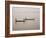 Fishing on the River Niger, Niger Inland Delta, Segou Region, Mali, West Africa, Africa-Gavin Hellier-Framed Photographic Print