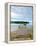 Fishing Pier and Boat Launch in Bayview Park on Bayou Texar in Pensacola, Florida in Early Morning-forestpath-Framed Premier Image Canvas