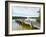 Fishing Pier and Boat Launch in Bayview Park on Bayou Texar in Pensacola, Florida in Early Morning-forestpath-Framed Photographic Print