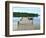 Fishing Pier and Boat Launch in Bayview Park on Bayou Texar in Pensacola, Florida in Early Morning-forestpath-Framed Photographic Print