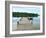 Fishing Pier and Boat Launch in Bayview Park on Bayou Texar in Pensacola, Florida in Early Morning-forestpath-Framed Photographic Print