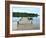 Fishing Pier and Boat Launch in Bayview Park on Bayou Texar in Pensacola, Florida in Early Morning-forestpath-Framed Photographic Print