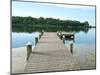 Fishing Pier and Boat Launch in Bayview Park on Bayou Texar in Pensacola, Florida in Early Morning-forestpath-Mounted Photographic Print