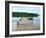 Fishing Pier and Boat Launch in Bayview Park on Bayou Texar in Pensacola, Florida in Early Morning-forestpath-Framed Photographic Print