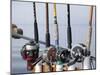 Fishing Poles, Alaska, Usa-Savanah Stewart-Mounted Photographic Print