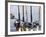 Fishing Poles, Alaska, Usa-Savanah Stewart-Framed Photographic Print