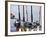 Fishing Poles, Alaska, Usa-Savanah Stewart-Framed Photographic Print