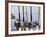 Fishing Poles, Alaska, Usa-Savanah Stewart-Framed Photographic Print