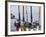 Fishing Poles, Alaska, Usa-Savanah Stewart-Framed Photographic Print