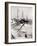 Fishing Ships Anchored at Dock During Winter on Martha's Vineyard-Alfred Eisenstaedt-Framed Photographic Print