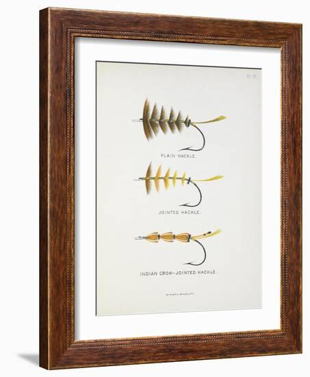 Fishing Tackle: Plain Hackle, Jointed Hackle, Indian Crow-Jointed Hackle-Fraser Sandeman-Framed Giclee Print