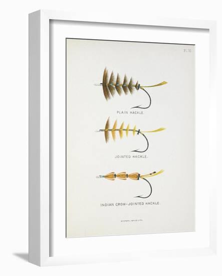 Fishing Tackle: Plain Hackle, Jointed Hackle, Indian Crow-Jointed Hackle-Fraser Sandeman-Framed Giclee Print