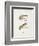 Fishing Tackle-Fraser Sandeman-Framed Giclee Print