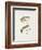 Fishing Tackle-Fraser Sandeman-Framed Giclee Print