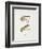 Fishing Tackle-Fraser Sandeman-Framed Giclee Print