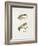 Fishing Tackle-Fraser Sandeman-Framed Giclee Print