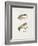 Fishing Tackle-Fraser Sandeman-Framed Giclee Print