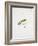 Fishing Tackle-Fraser Sandeman-Framed Giclee Print