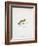 Fishing Tackle-Fraser Sandeman-Framed Giclee Print