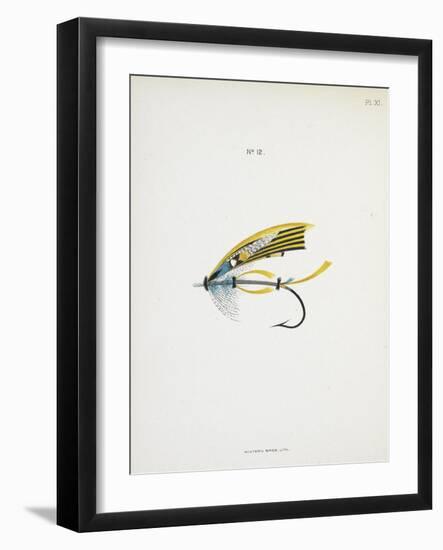 Fishing Tackle-Fraser Sandeman-Framed Giclee Print