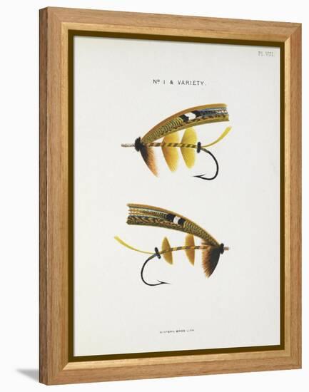 Fishing Tackle-Fraser Sandeman-Framed Premier Image Canvas