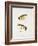 Fishing Tackle-Fraser Sandeman-Framed Giclee Print