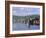 Fishing Trawlers in the Harbour, Phu Quoc Island, Southwest Vietnam, Indochina, Southeast Asia-Tim Hall-Framed Photographic Print