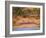 Fishing Village, Lake Tanganyika, Mahale Mountain, Tanzania-Marilyn Parver-Framed Photographic Print