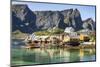 Fishing village on Reinefjorden, Saknesoya, Lofoten Islands-Tony Waltham-Mounted Photographic Print