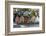 Fishing Warehouses in the Bryggen District-Doug Pearson-Framed Photographic Print