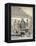 Fishmongers, Victoria Street, Hong Kong, China, 19th Century-M & N Hanhart-Framed Premier Image Canvas