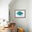 Fishy II-Julie DeRice-Framed Art Print displayed on a wall