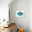 Fishy II-Julie DeRice-Premium Giclee Print displayed on a wall