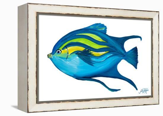 Fishy II-Julie DeRice-Framed Stretched Canvas