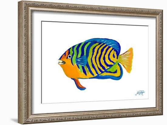 Fishy IV-Julie DeRice-Framed Art Print