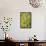 Fisiulera Plants-Cristina-Framed Premier Image Canvas displayed on a wall