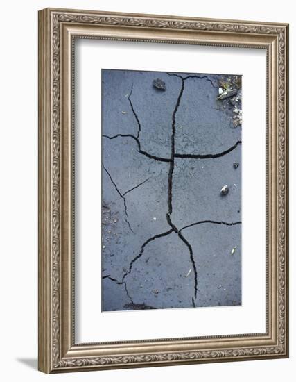 Fissures in the muddy bottom, early summer, close-up-David & Micha Sheldon-Framed Photographic Print