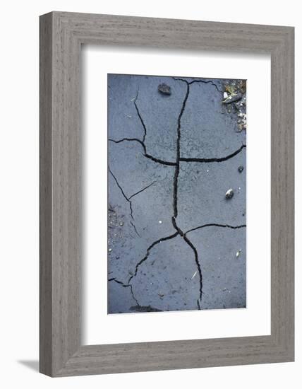 Fissures in the muddy bottom, early summer, close-up-David & Micha Sheldon-Framed Photographic Print