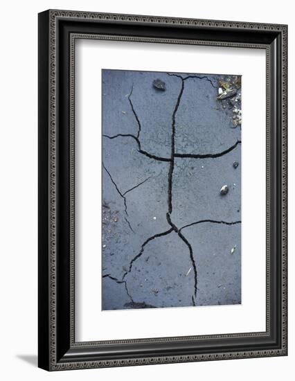 Fissures in the muddy bottom, early summer, close-up-David & Micha Sheldon-Framed Photographic Print